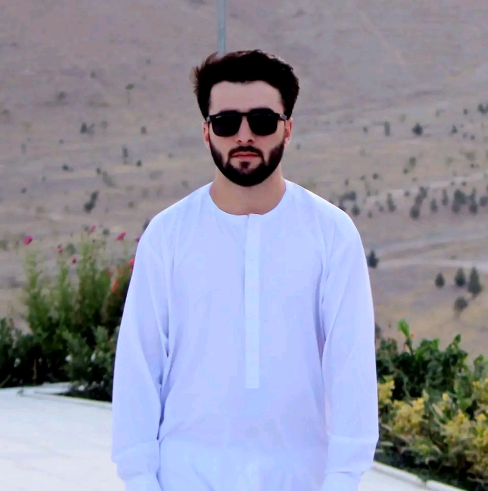 Hamed Walizada